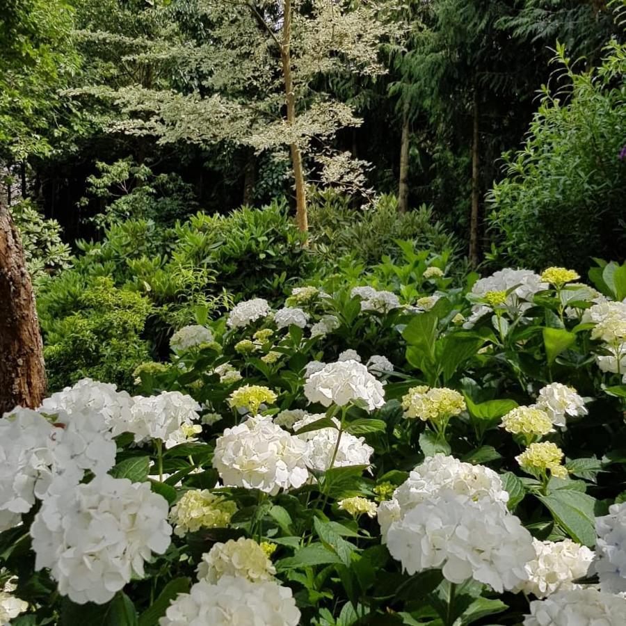 Ribblesdale Gardens Barn Villa Oxford Esterno foto